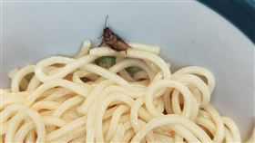 蟑螂大軍出沒，食安疑雲頻傳。有網友在《臉書》我們是新店人社群粉專上傳了2張乾拌麵裡有蟑螂的照片，原PO還貼文「吃麵時要多留意，以免蟑螂一起下肚，巧福PLUS新店建國店」，提醒大家須多加小心，引起網友熱議。