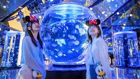 迪士尼首度跨界日系水族館慶唐老鴨90周年