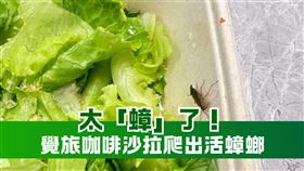 覺旅咖啡「沙拉有蟑螂」衛生局揪出3缺失