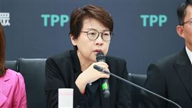 黃珊珊。（圖／民眾黨立院黨團提供）