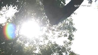 十二星座一週運勢來了　必知夏至轉運妙招