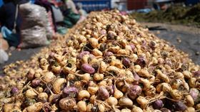 瑪卡,保健,把關,老牌