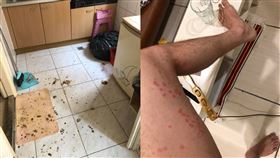 屋主沒先提醒有跳蚤，他「腰以下全爛掉」。（圖／翻攝自臉書社團「爆怨公社」）