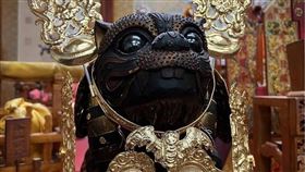 ▲虎爺威風金戰甲。（圖／南玥佛帽提供）