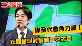民進黨全代會派系角力曝光！正國會明討論陳亭妃去留