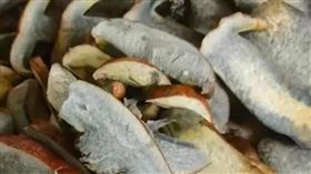 中國一名女子因食用見手青菌菇中毒。（圖／翻攝自網易新聞）