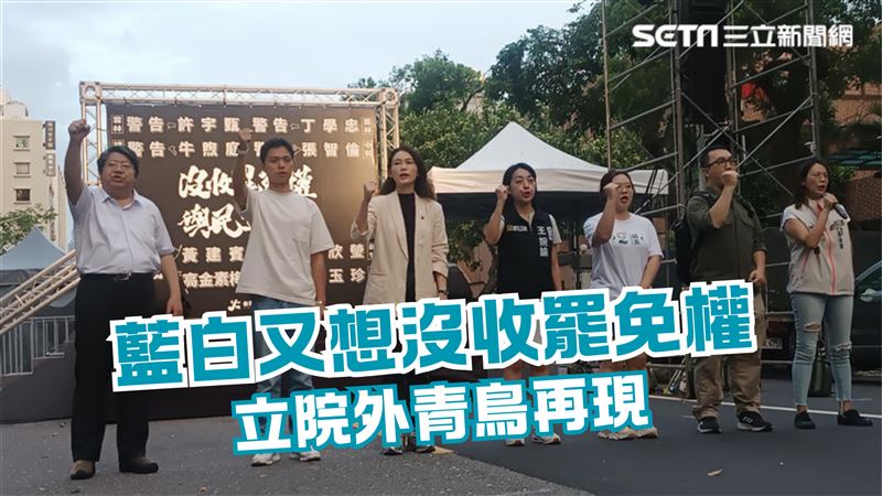 青鳥活動再起！點名8立委勿沒收罷免權