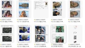 宜蘭縣警局,官網,無名屍,