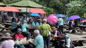 日湧8千遊客亂象多　溪頭園區暑假如市場