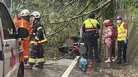 土石鬆動樹倒路中擊2名騎士。（圖／翻攝畫面）