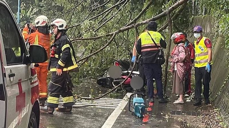 龜山豪雨引發土石滑動！樹倒砸中2騎士