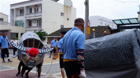 ▲水牛陣在今年剛好一甲子，靠千歲爺的一句話撐過今年的刈香（圖／寶島神很大）

