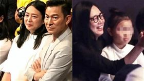 劉德華,朱麗蒨,劉向蕙,劉禮去,潛行,社群帳號,網路