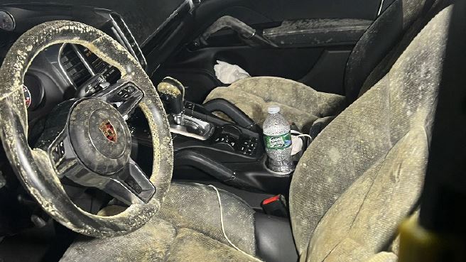 保時捷長出黃絨毛！她取車崩潰：不想要了