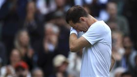 ▲莫瑞（Andy Murray）溫網最後一舞，和哥哥搭檔在男雙首輪遊。（圖／美聯社／達志影像）