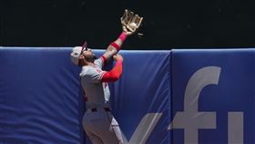 ▲皮拉（Kevin Pillar）美技沒收「首局首打席」全壘打。（圖／美聯社／達志影像）