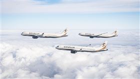 星宇航空、富邦產險合作推出「一站式」投保。（圖／星宇航空提供）