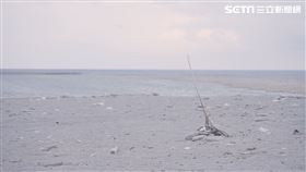 凝聚社會共識，安樂死在台灣能否合法化的關鍵。（圖／記者戴華辰攝影）