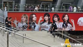 ▲統一獅啦啦隊Uni Girls登上大巨蛋外的廣告看板。（圖／記者劉彥池攝影）