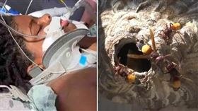 有胡蜂！少年「跳泳池」閃躲…下秒頸椎斷裂、飄水面無反應（組合圖／資料照,翻攝自GoFundMe）