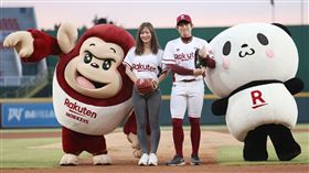 ▲「最美NBA日本記者」宮河麻耶為樂天桃猿開球。（圖／樂天桃猿提供）