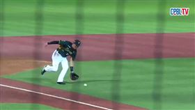 吳念庭,中職,台鋼雄鷹,哈瑪星,