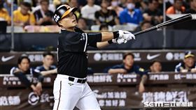 ▲統一獅臺北大巨蛋對中信兄弟，指定打擊胡金龍。（圖／記者劉彥池攝影）