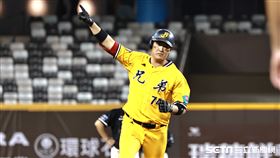 ▲統一獅臺北大巨蛋對中信兄弟，許基宏炸裂逆轉2分砲。（圖／記者劉彥池攝影）