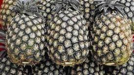 鳳梨是相當受到歡迎的水果。(圖/農業部)