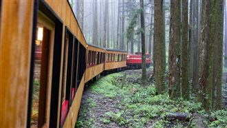 阿里山美學列車「福森號」玩法亮點全公開