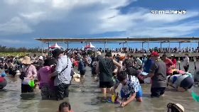 高溫挖文.蛤1800