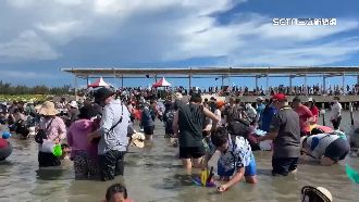 台南挖文蛤活動3000人擠爆　防曬配備出動