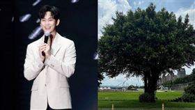 金秀賢樹成了新的知名地標。