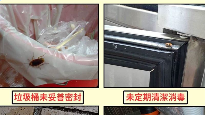 民眾食安陳情187件 蟑螂「這溫度」最活躍