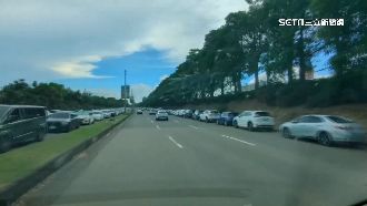 獨／樂園外「2條貪食蛇」逾1km　車道被占