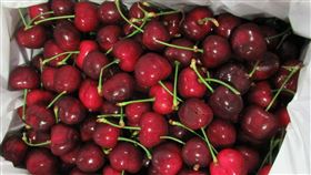 美國2批鮮紅櫻桃檢出農藥滅芬座，近4000公斤全退運。（圖／食藥署提供）