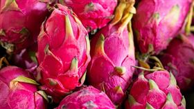 火龍果示意圖(圖翻攝自/pixabay)