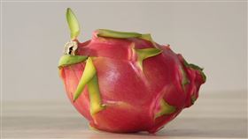 火龍果示意圖(圖翻攝自/pixabay)