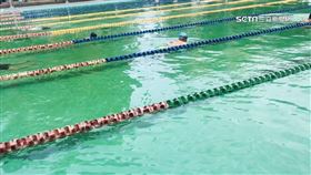 獨家／桃泳池現