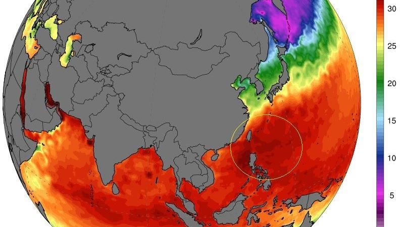 台灣周圍海溫超高　鄭明典：有利颱風增強