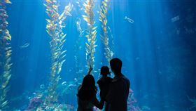 屏東海生館夏日活動不停歇　一同潛入海洋世界避暑！（業配勿用）