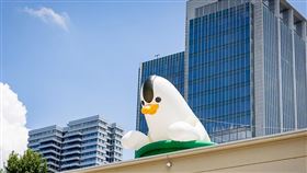 暑假限定｜2024夏日松一下！《Zoom In松菸動物園》重磅回歸！