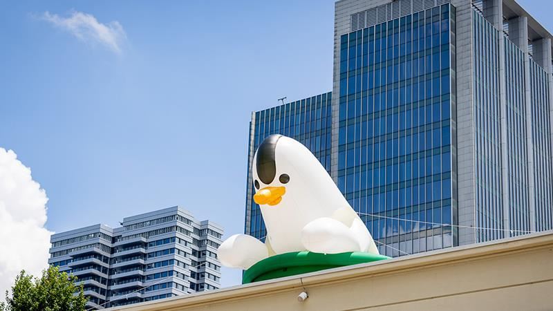 《Zoom In松菸動物園》重磅回歸！