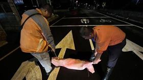 台76平面道驚見「肉色不明物」民眾急報警