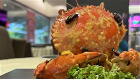 金沙螃蟹佐昆蟲 蟲味佳餚上桌新加坡食品局宣布，批准16種昆蟲可供食用，包括蟋蟀、蚱蜢、麵包蟲和蠶等昆蟲可上餐桌販售，有業者在金沙螃蟹料理上以昆蟲點綴。中央社記者吳昇鴻新加坡攝  113年7月11日