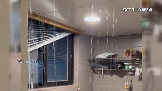 修漏害淹水　北市租客：包租代管只賠1萬