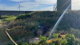 苗栗,苑裡,腐屍,失蹤,風力發電機,出海口（圖／翻攝畫面）