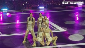 ▲華莎。（圖／讀者提供）