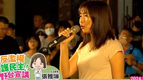 民進黨立委張雅琳（圖／翻攝自王定宇直播）