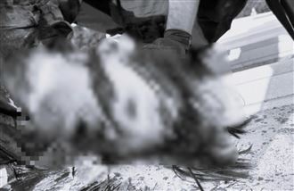 川普險爆頭！槍手遭2狙擊手擊斃瞬間曝光